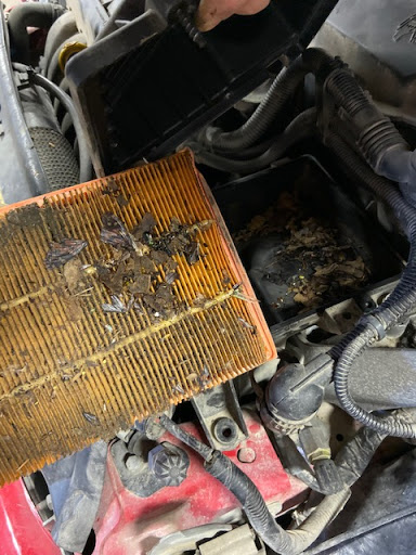 Auto Repair Shop «Brad Holtkamp Automotive Inc», reviews and photos, 907 E Washington St #101, Mt Pleasant, IA 52641, USA