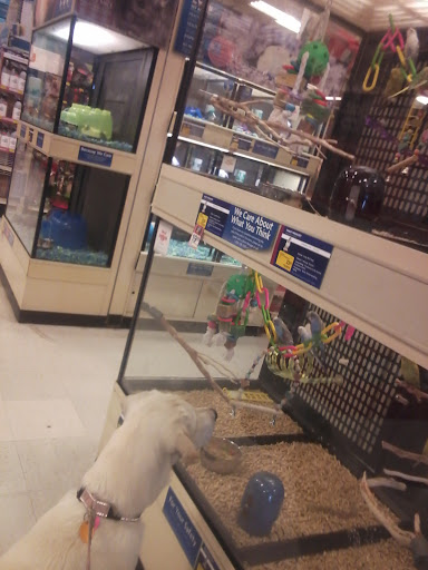 Pet Supply Store «PetSmart», reviews and photos, 3081 S 5600 W, Salt Lake City, UT 84120, USA