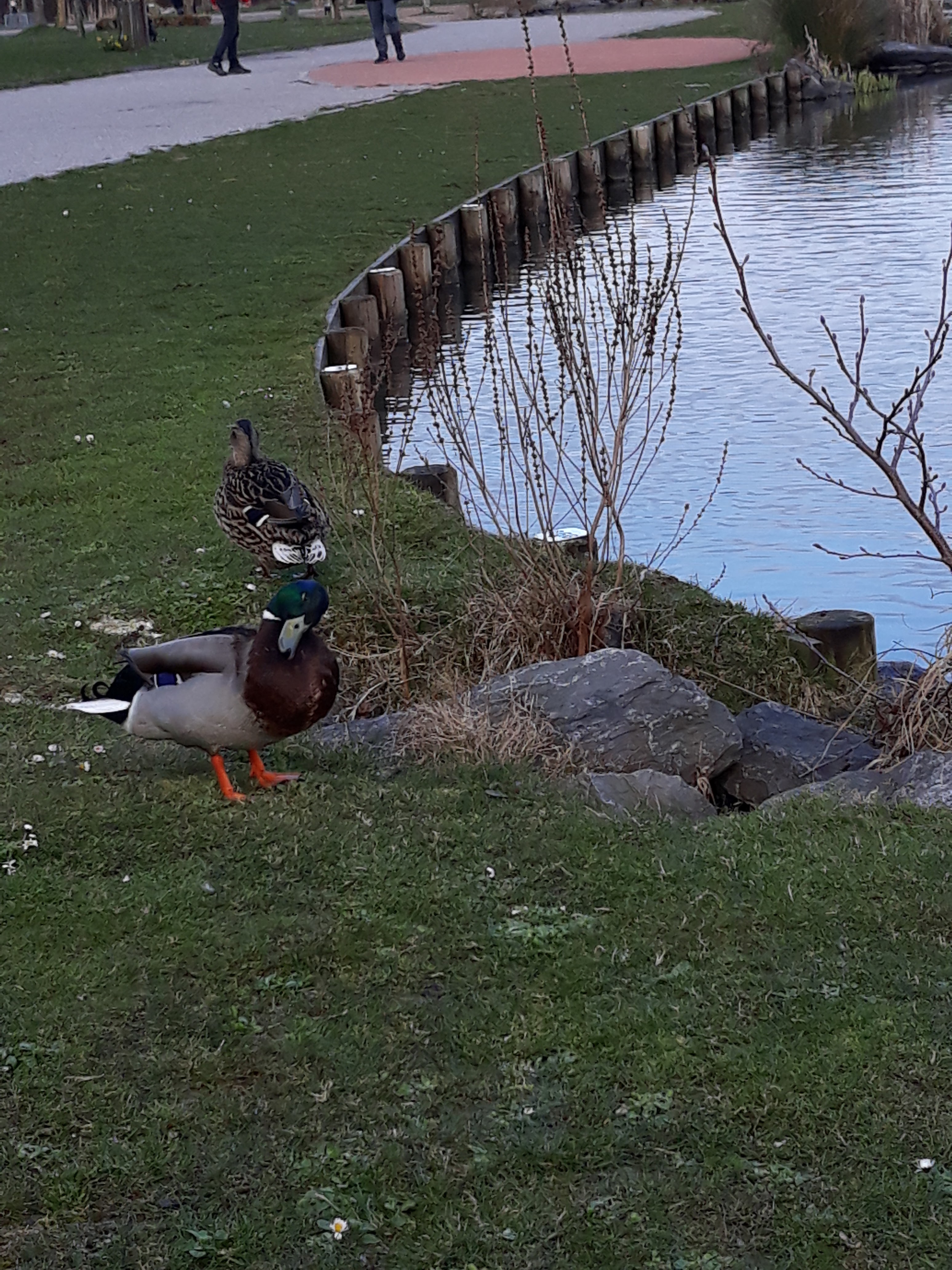 Photo n° 2 de l'avis de Trabelsi.a fait le 24/03/2018 à 23:08