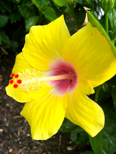 Auto Repair Shop «American Pride Automotive (Williamsburg)», reviews and photos, 5406 Airport Rd, Williamsburg, VA 23188, USA