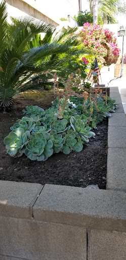 Florist «Plant Safari», reviews and photos, 653 N Central Ave, Upland, CA 91786, USA