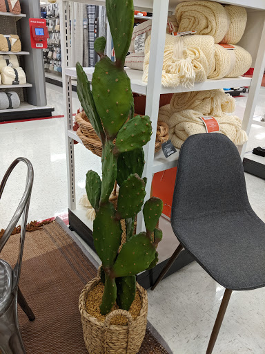 Department Store «Target», reviews and photos, 24890 N Lake Pleasant Pkwy, Peoria, AZ 85383, USA