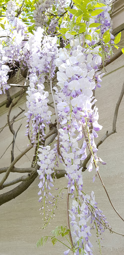 Art Museum «Smithsonian American Art Museum», reviews and photos, F St NW & 8th St NW, Washington, DC 20004, USA