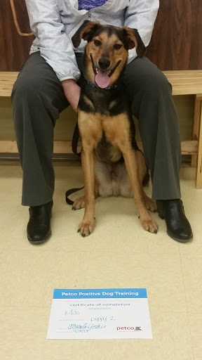 Pet Supply Store «Petco Animal Supplies», reviews and photos, 8551 S Howell Ave, Oak Creek, WI 53154, USA