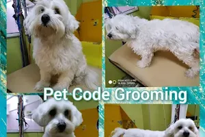 PET CODE Pet Shop & Grooming Κομμωτήριο σκύλων Σχολή κομμωτικής Σεμινάρια Pet Grooming Μαθήματα Pet Grooming image