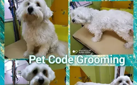 PET CODE Pet Shop & Grooming Κομμωτήριο σκύλων Σχολή κομμωτικής Σεμινάρια Pet Grooming Μαθήματα Pet Grooming image