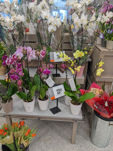 Supermarket «Giant», reviews and photos, 25939 John J Williams Hwy, Millsboro, DE 19966, USA