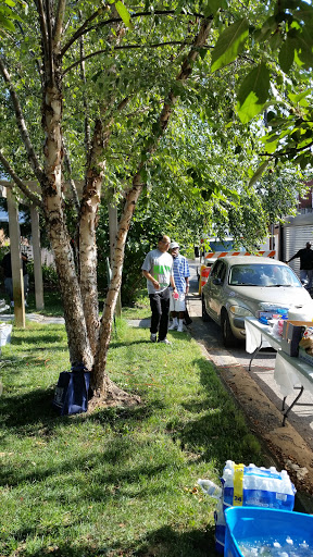 Park «Crispus Attucks Park», reviews and photos, 23 U St NW, Washington, DC 20001, USA