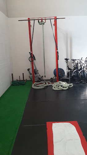 Netos Gym - Figueira da Foz