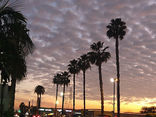 Regal Edwards South Gate image
