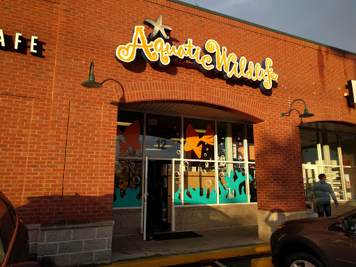 Tropical Fish Store «Aquatic Wildlife Co», reviews and photos, 70 Buckland Rd, South Windsor, CT 06074, USA