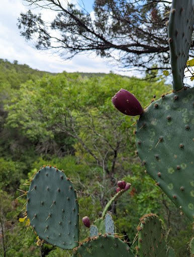 Park «Wild Basin Wilderness Preserve», reviews and photos, 805 N Capital of Texas Hwy, Austin, TX 78746, USA