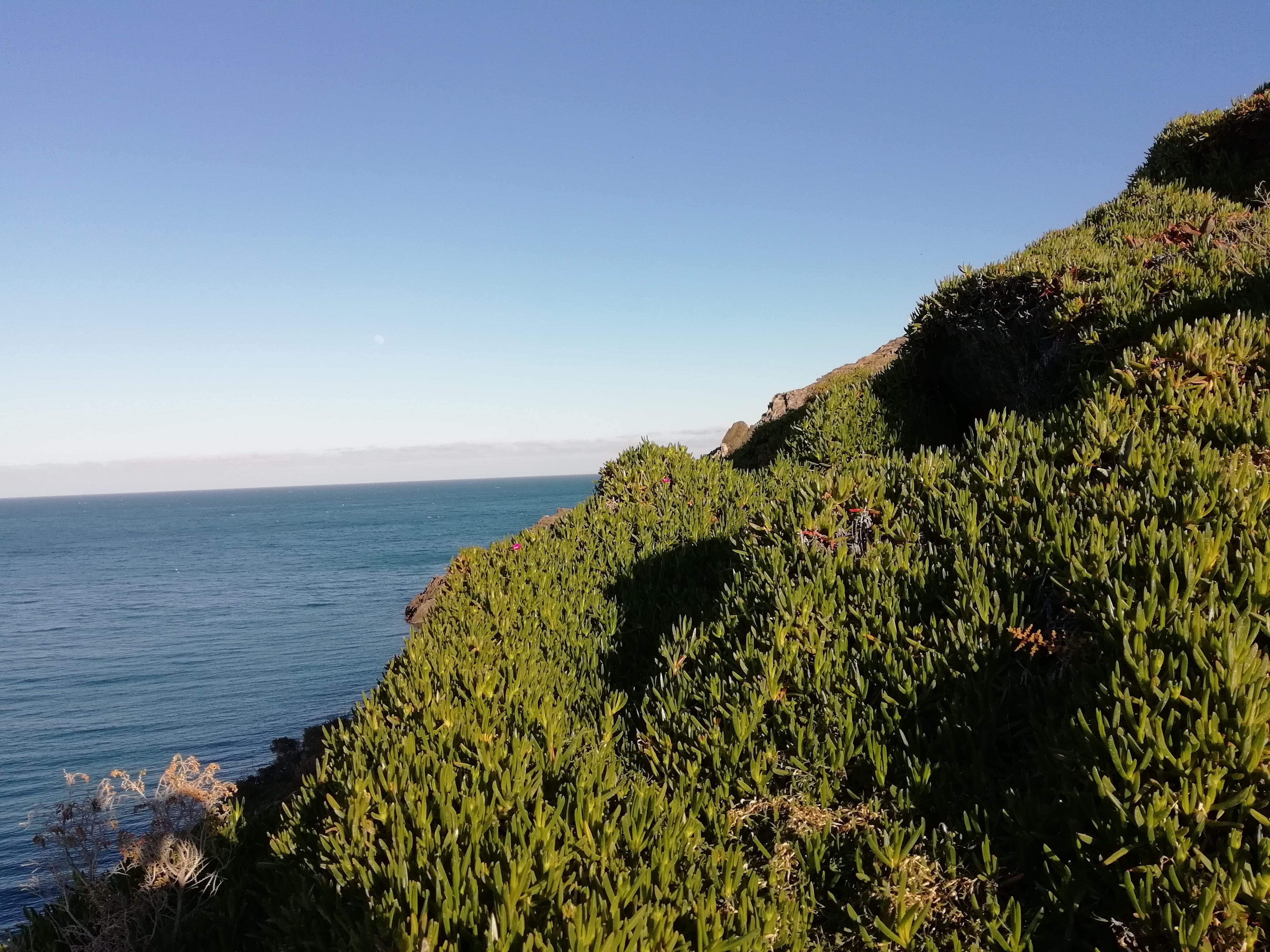 Photo n° 2 de l'avis de Pascal.a fait le 21/02/2019 à 16:49