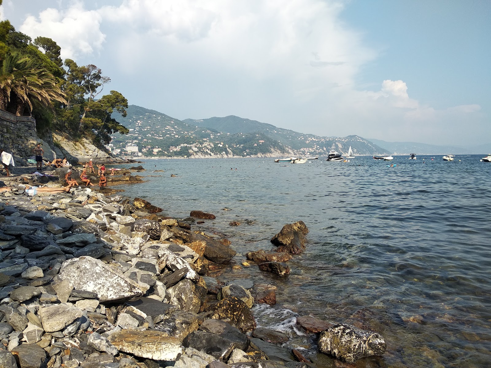 Stella beach photo #9