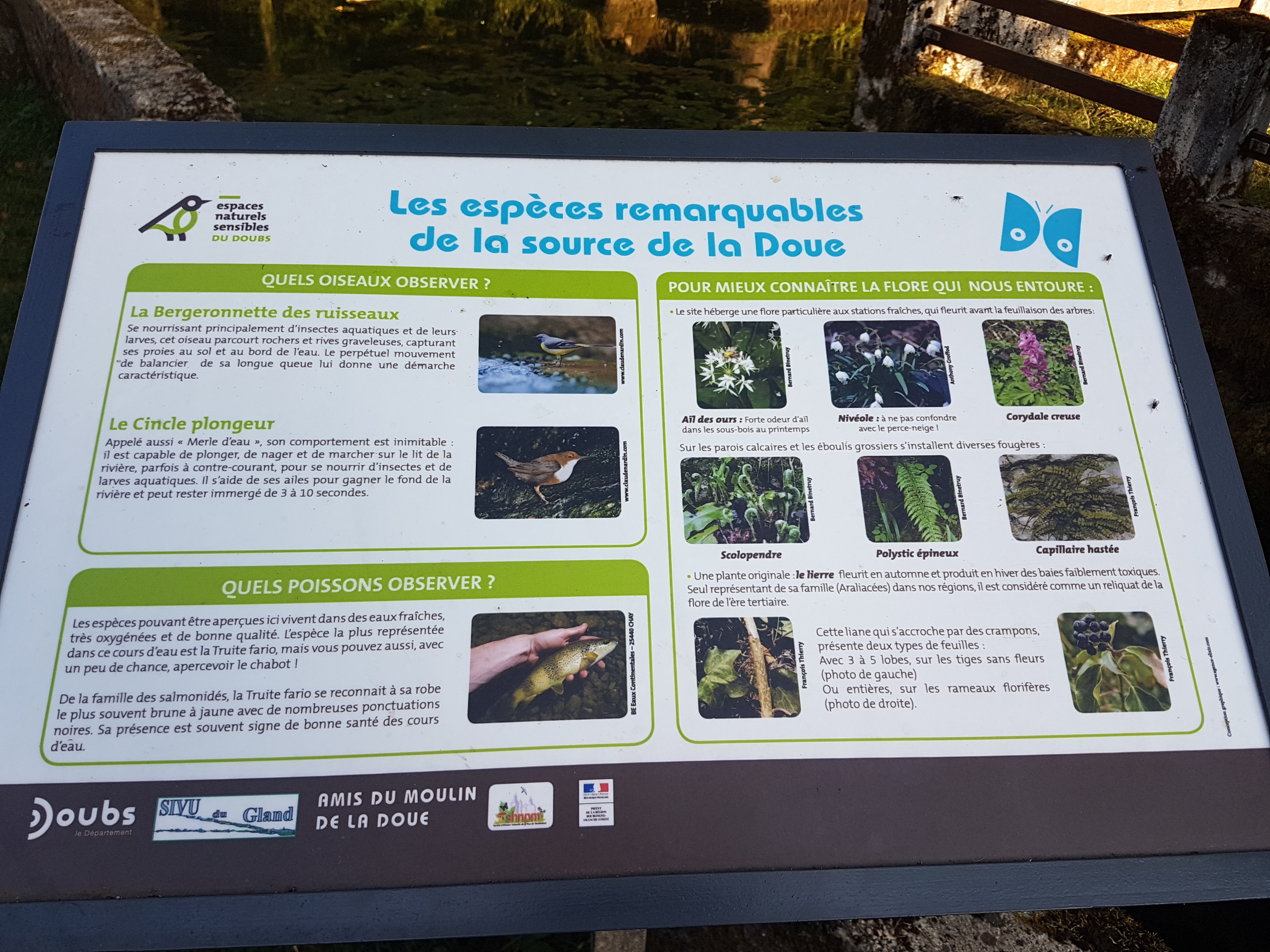Photo n° 3 de l'avis de Stéphane.a fait le 19/08/2018 à 18:55