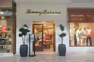 Tommy Bahama image