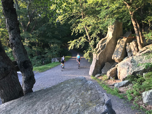 Bicycle Store «Bicycle Depot», reviews and photos, 15 Main St, New Paltz, NY 12561, USA