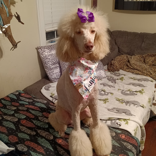 Pet Supply Store «Petco Animal Supplies», reviews and photos, 26 Coliseum Crossing, Hampton, VA 23666, USA