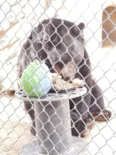 Zoo «Heritage Park Zoological Sanctuary», reviews and photos, 1403 Heritage Park Rd, Prescott, AZ 86301, USA