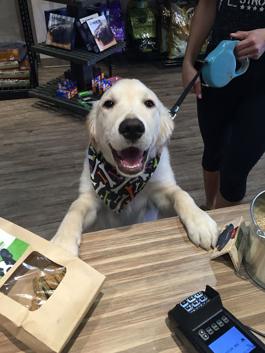 Pet Store «Whisker Bones Supply Co.», reviews and photos, 138 N Main St, Edwardsville, IL 62025, USA