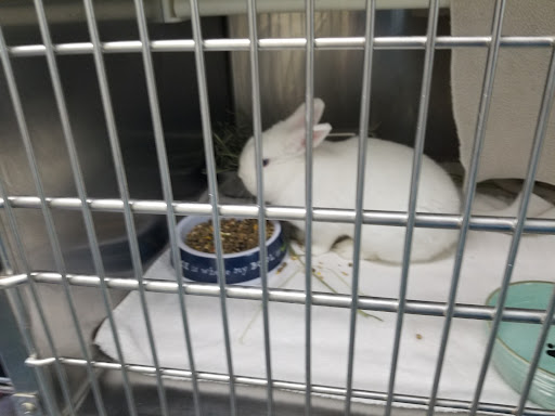 Animal Shelter «Heritage Humane Society», reviews and photos