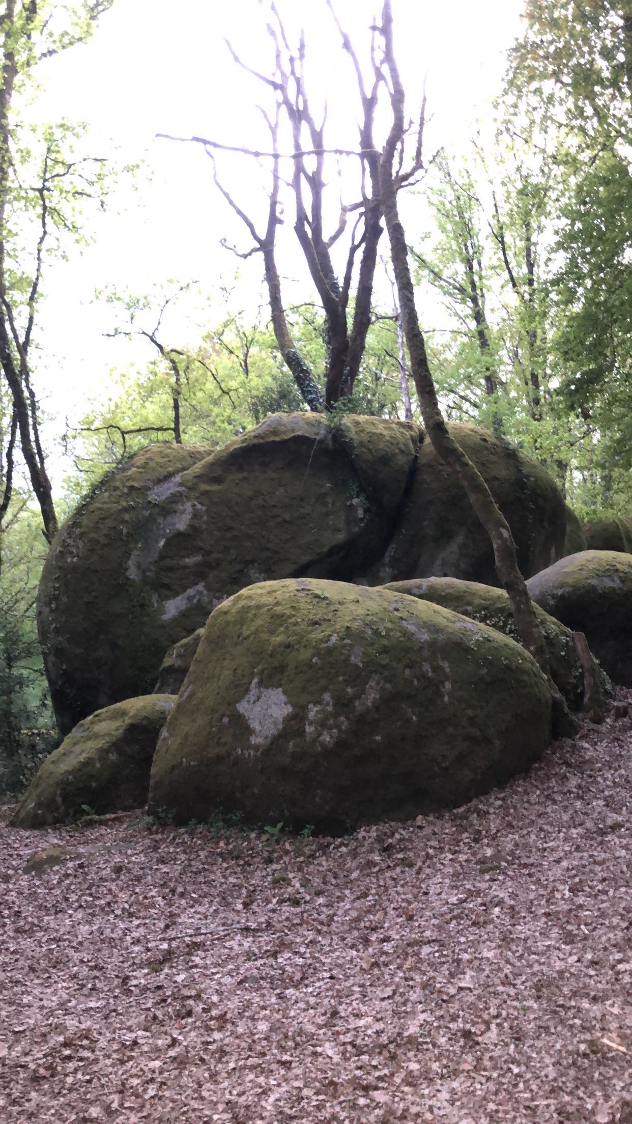 Photo n° 2 de l'avis de Laura.� fait le 12/10/2022 à 16:47