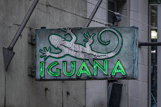 Tex-Mex Restaurant «Iguana New York», reviews and photos, 240 W 54th St, New York, NY 10019, USA