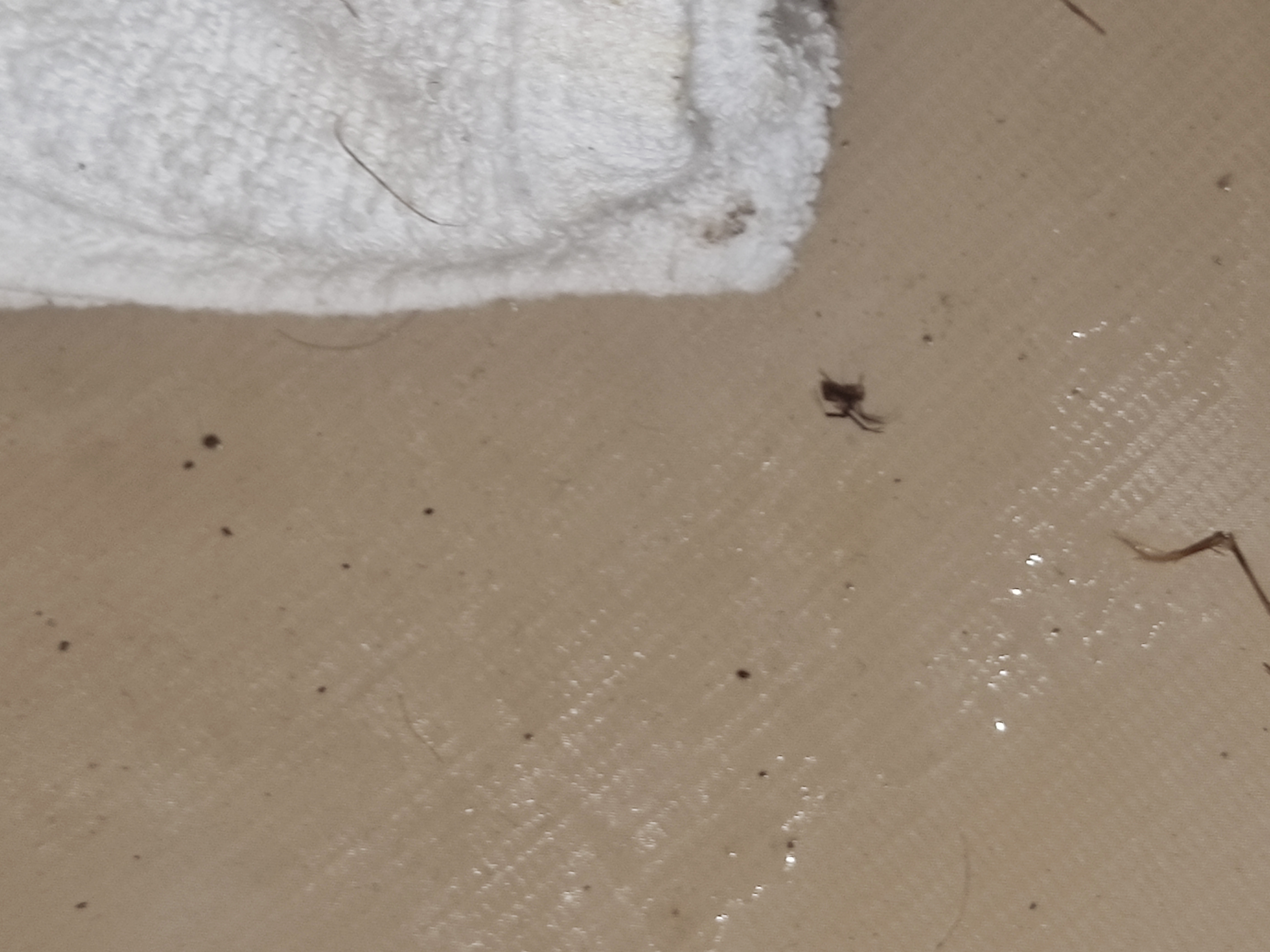 Photo n° 3 de l'avis de María.a fait le 18/09/2023 à 18:03