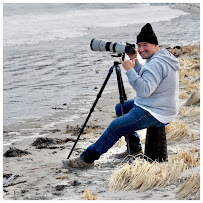 José Fernando Photography - Photo 2 - Car repair in , Lynn