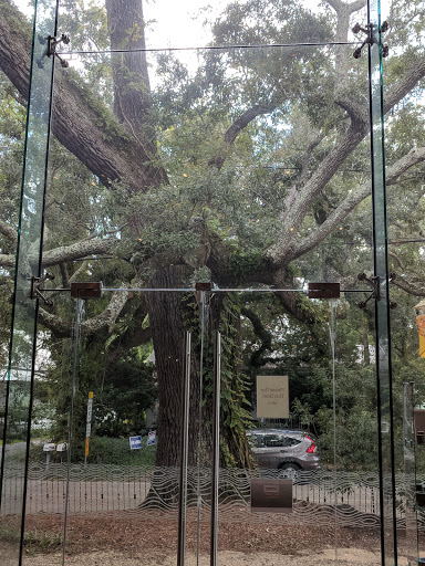 Museum «Walter Anderson Museum of Art», reviews and photos, 510 Washington Ave, Ocean Springs, MS 39564, USA