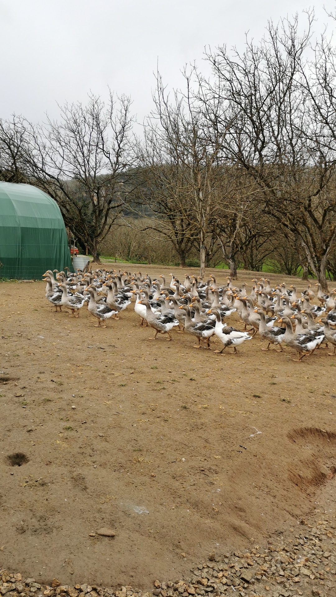 Photo n° 2 de l'avis de Fredo.a fait le 13/03/2021 à 19:14