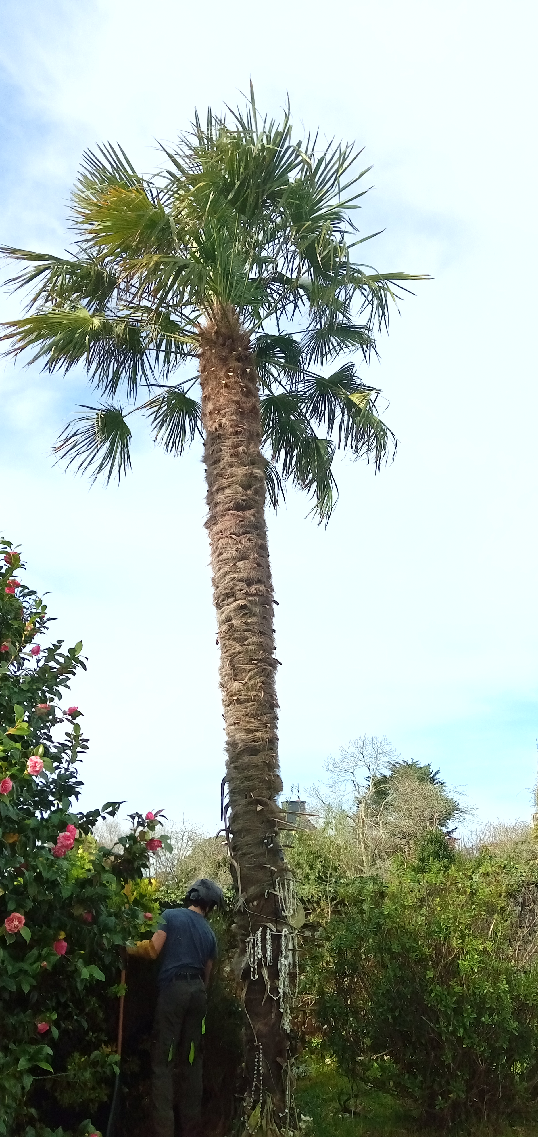 Photo n° 2 de l'avis de Véronique.e fait le 09/03/2024 à 14:47