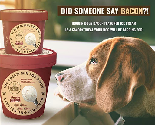 Pet Supply Store «Lazy Creek Discount Pet Food & Supplies», reviews and photos, 351 E Church St, Leesville, SC 29070, USA