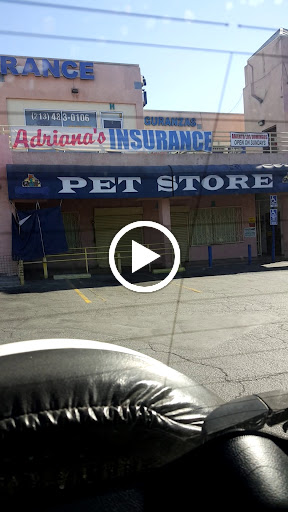 Pet Store «Pet Source 1901», reviews and photos, 1901 W 8th St B, Los Angeles, CA 90057, USA