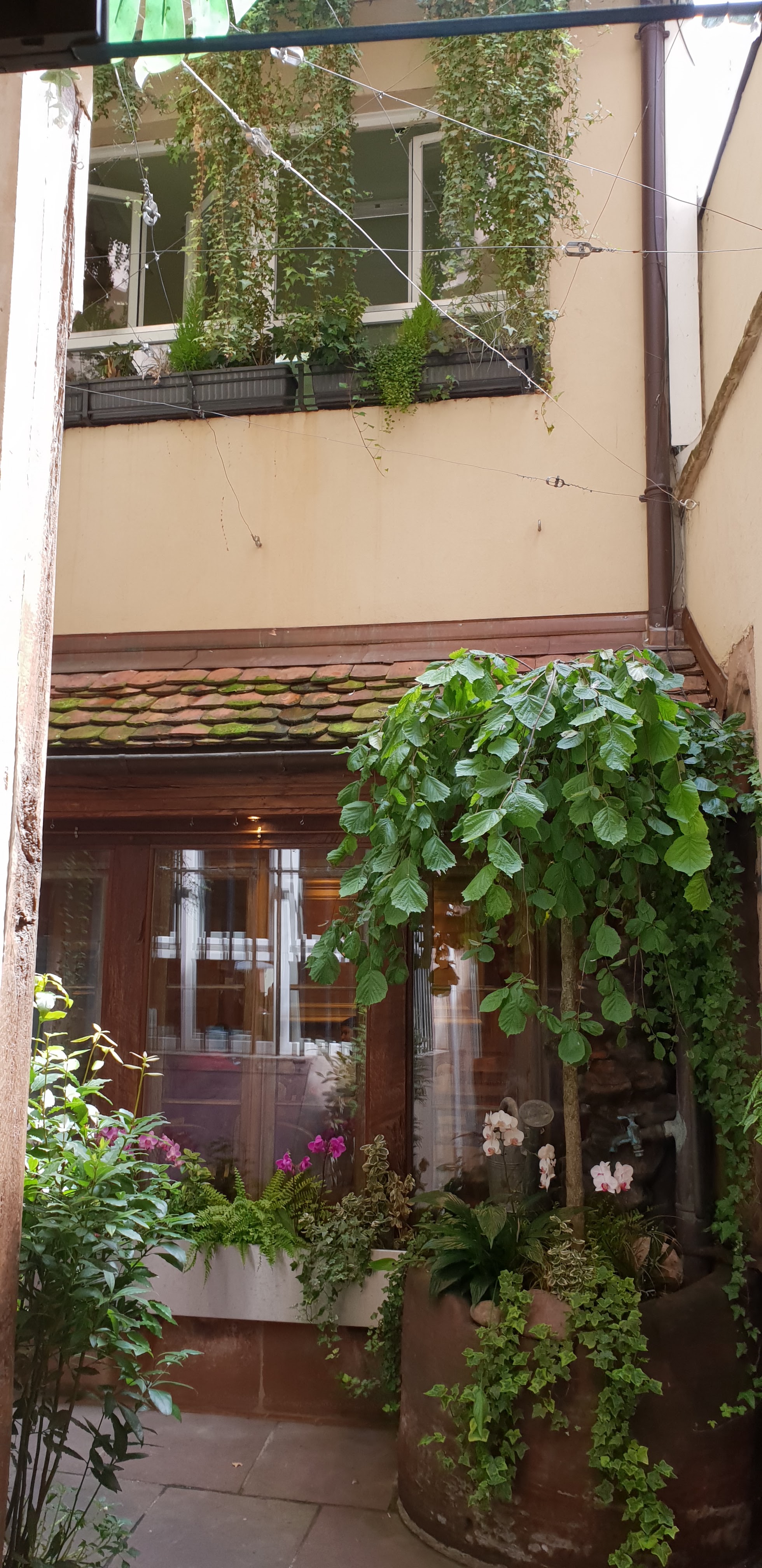 Photo n° 2 de l'avis de Didier.a fait le 18/08/2018 à 07:24