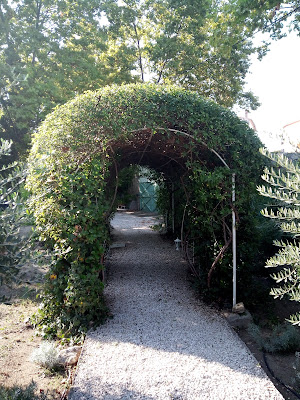 Eclat de vert à Peret