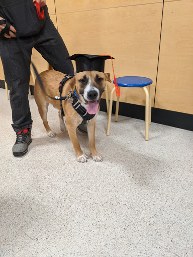 Pet Supply Store «PetSmart», reviews and photos, 3370 Shoppers Dr, McHenry, IL 60050, USA