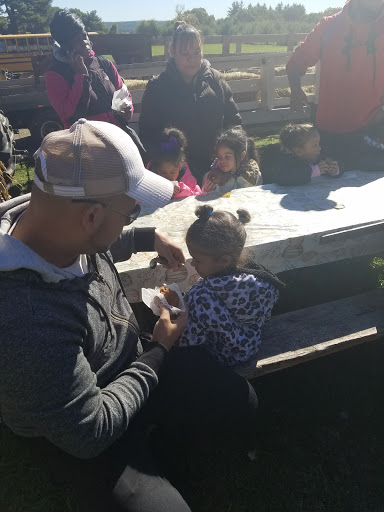 Orchard «George Hill Orchards», reviews and photos, 582 George Hill Rd, South Lancaster, MA 01561, USA