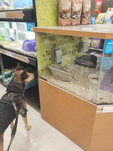Pet Supply Store «Petco Animal Supplies», reviews and photos, 1009 E Commercial Blvd, Oakland Park, FL 33334, USA