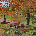 Photo n°2 de l'avis de Nina. fait le 14/10/2022 à 11:42 sur le  Restaurant Café Schlern-Hex à Kastelruth