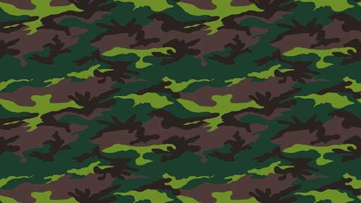 Af1qippd2xrz9d20n73vvkm P55z1f31xfdwi0oj6afg