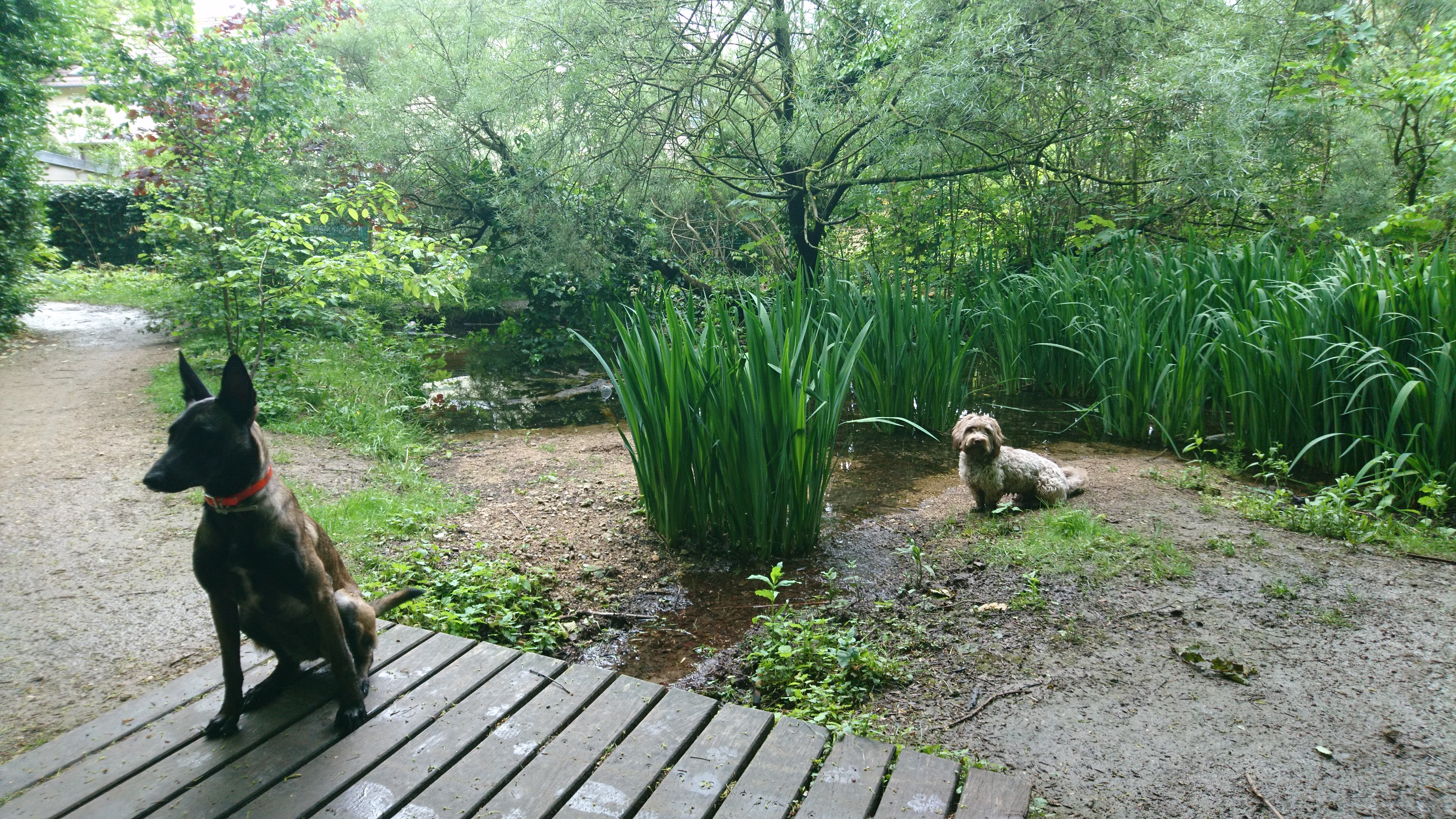 Photo n° 1 de l'avis de Selkie.' fait le 09/05/2019 à 15:11