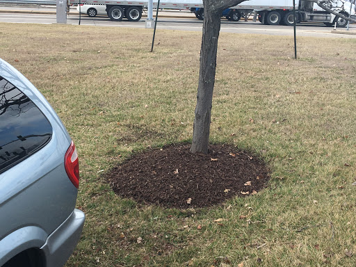 Oil Change Service «Jiffy Lube», reviews and photos, 1915 Hawkins Rd, Fenton, MO 63026, USA