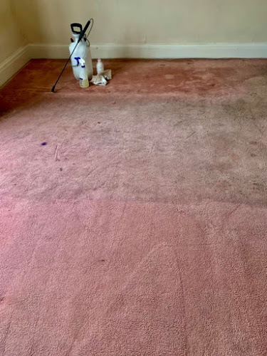 Comments and reviews of Aardvark Carpet Cleaning Milton Keynes