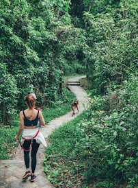 The Pack by Daisy - Photo 1 - Car repair in , Arlington