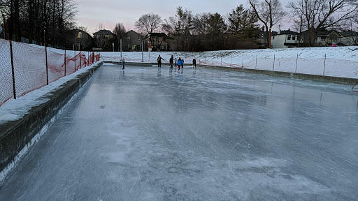 Ledbury Rink