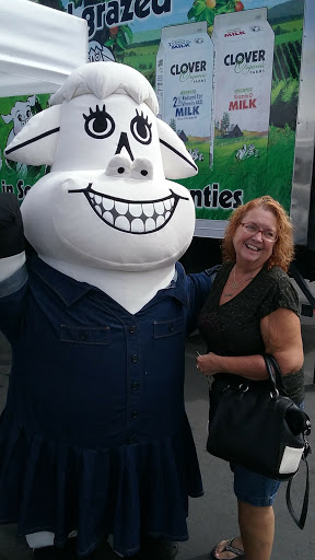 Grocery Store «Safeway», reviews and photos, 1115 Vine St, Healdsburg, CA 95448, USA