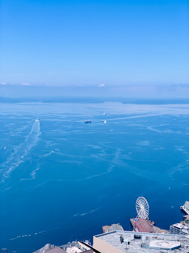 Observatory «Sky View Observatory - Columbia Center», reviews and photos, 701 5th Ave, Seattle, WA 98104, USA