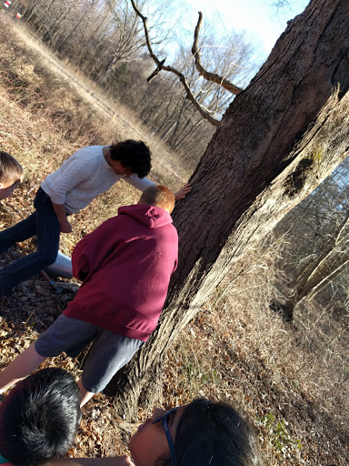 Nature Preserve «Rancocas Nature Center», reviews and photos, 794 Rancocas Mt Holly Rd, Westampton, NJ 08060, USA