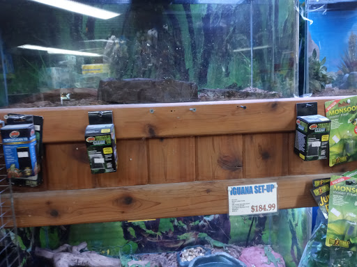 Pet Store «Critter Pet Shop», reviews and photos, 19309 Ecorse Rd, Allen Park, MI 48101, USA